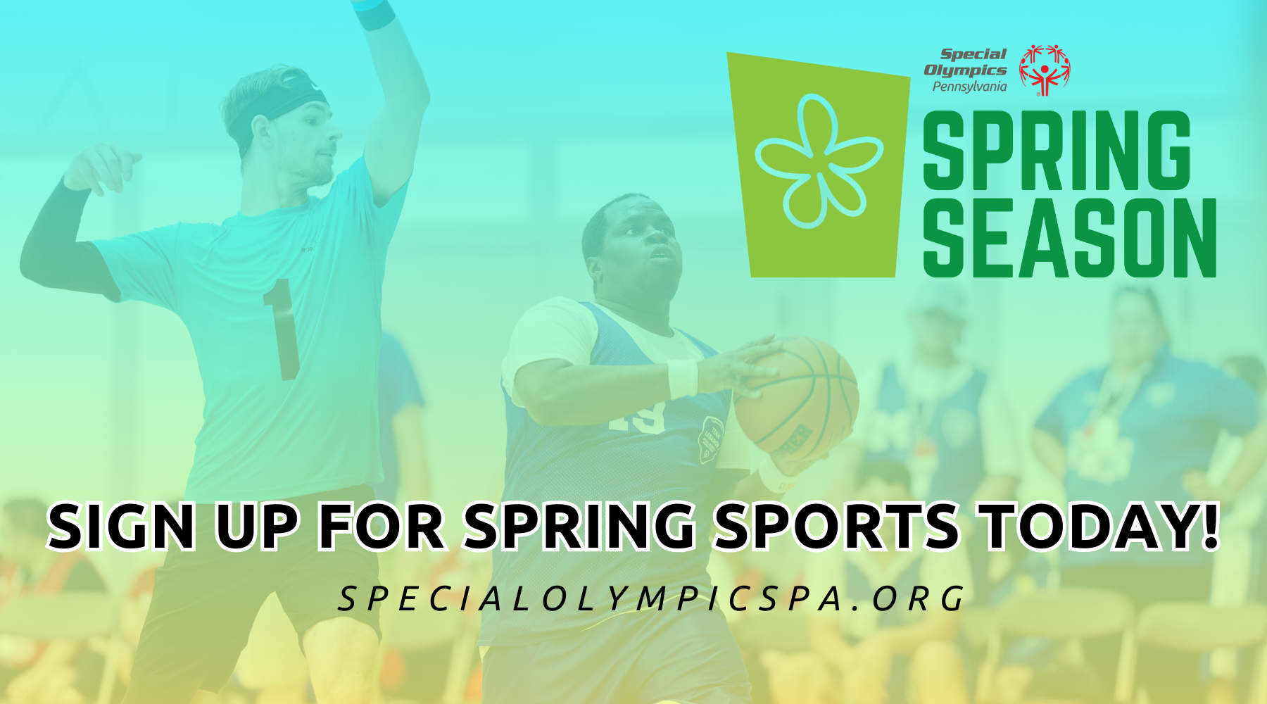 Spring Sports Email header